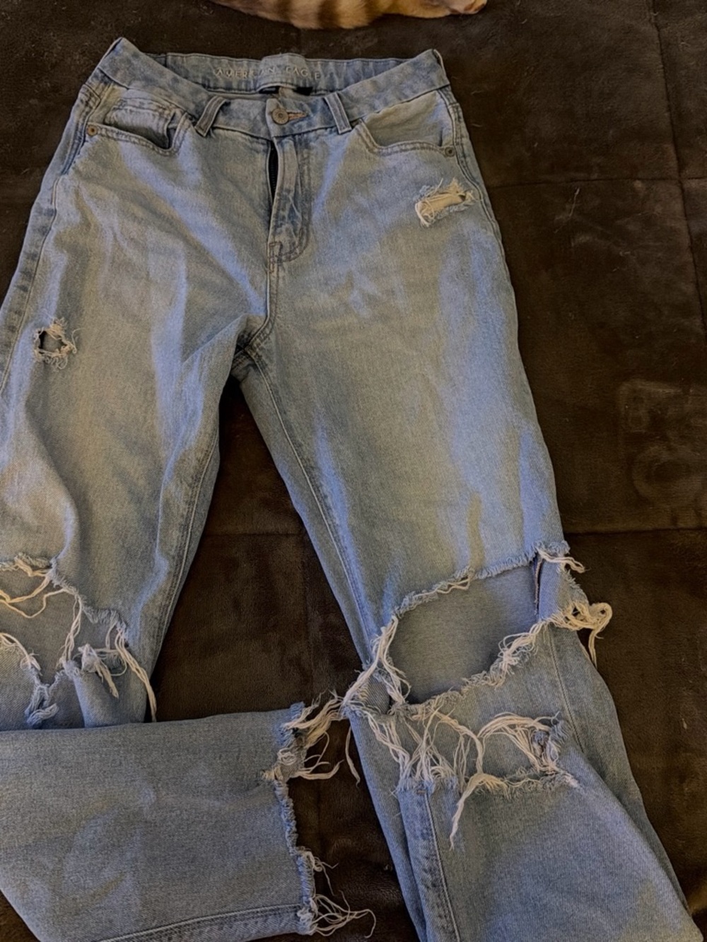 American Eagle Outfitters Light Wash Distressed Wide Leg Jeans
